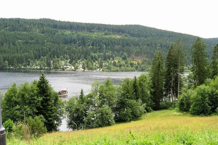 Lenzkirch_512-2719631