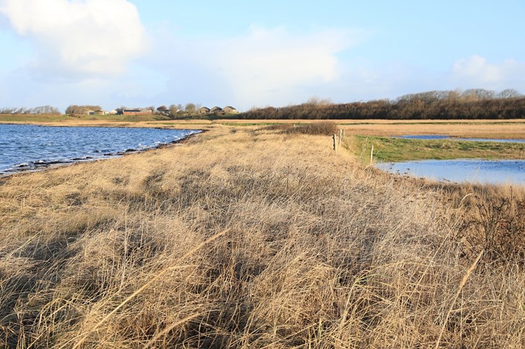 Limfjord in Jegindo, Jütland, Dänemark
