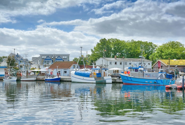 Niendorf_Depositphotos_416730494_S