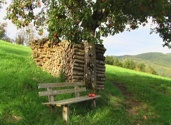 Oberharmersbach_512-3037232