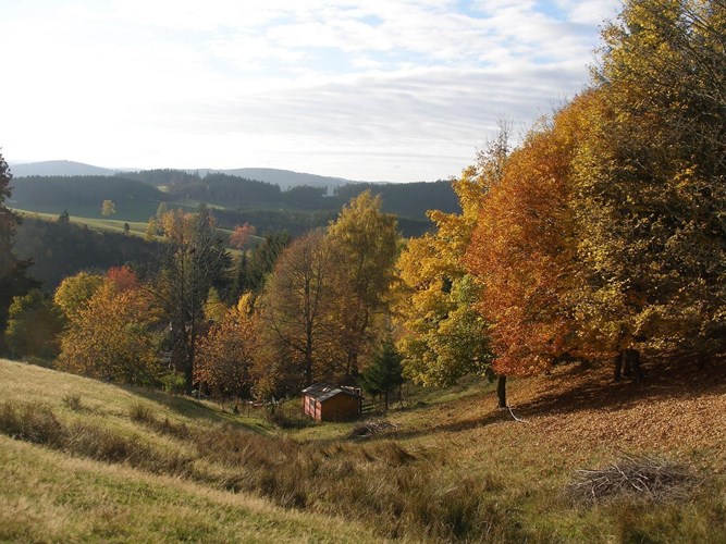 Sankt Georgen im Schwarzwald_512-2718388
