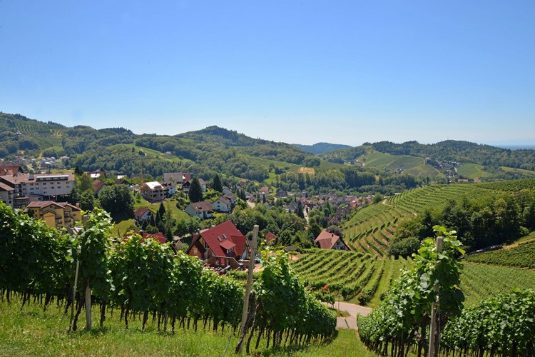 Sasbachwalden_512-2718661