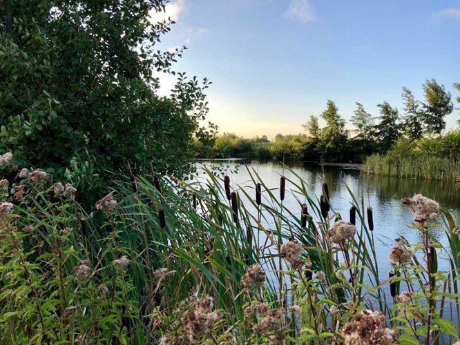 Steffenshagen_530-388424