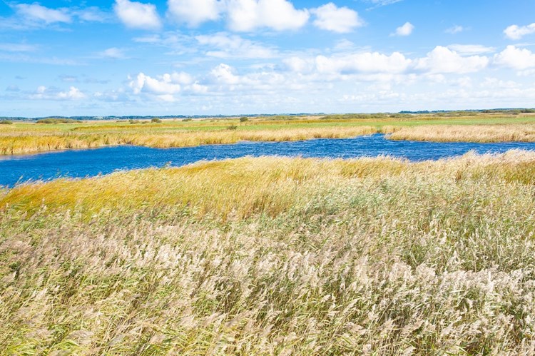 Thy Nationalpark in Jütland, Dänemark