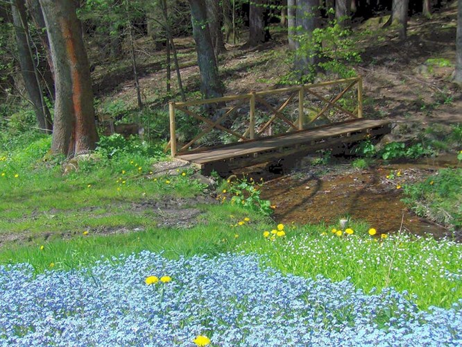 Waldmünchen_530-237689