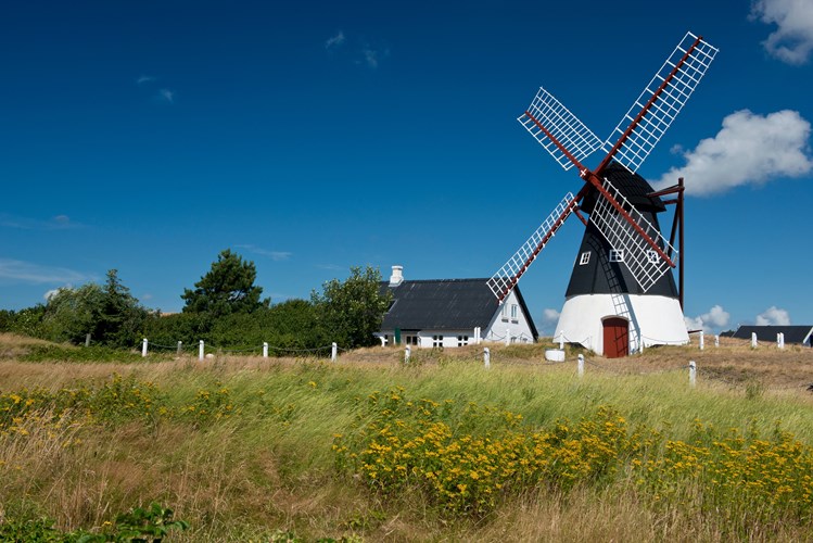 Windmill in Mando