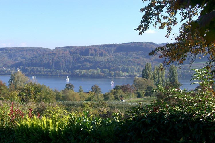 Öhningen_512-2718158