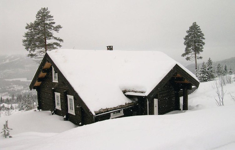 Ferienhaus Norwegen Trysil 143-N30025