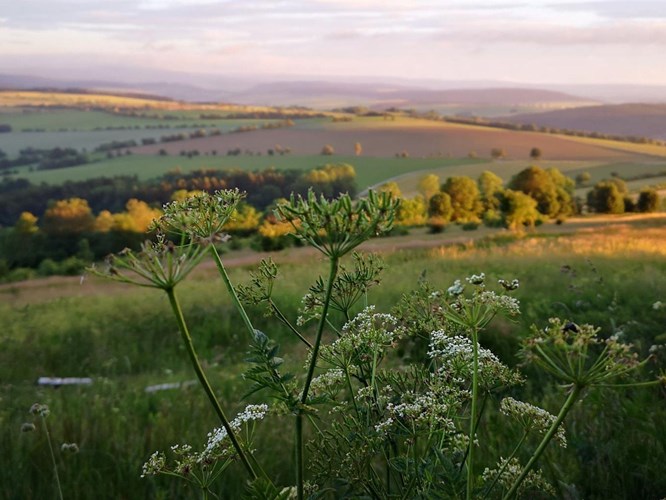 Annaberg-Buchholz_530-774401