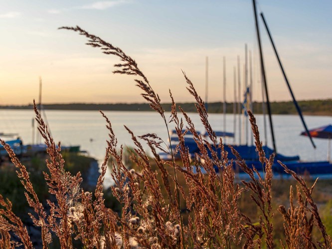 Leipziger Neuseenland_530-105807