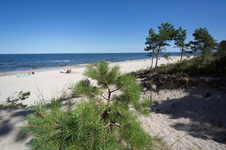 Ferienwohnung in Rowy Wählen Sie unter 52 Ferienhäusern Feline Holidays