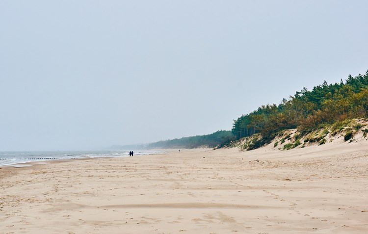 Urlaub in Sarbinowo Wählen Sie unter 114 Ferienhäusern Feline Holidays