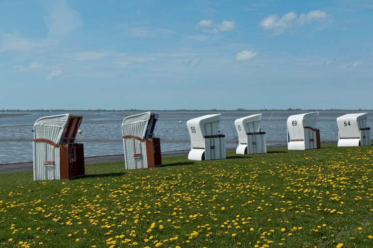 Strandk%C3%B6rbe%20am%20Strand%20bei%20Husum_Depositphotos_87252186_S.jpg?v=638342715495748900