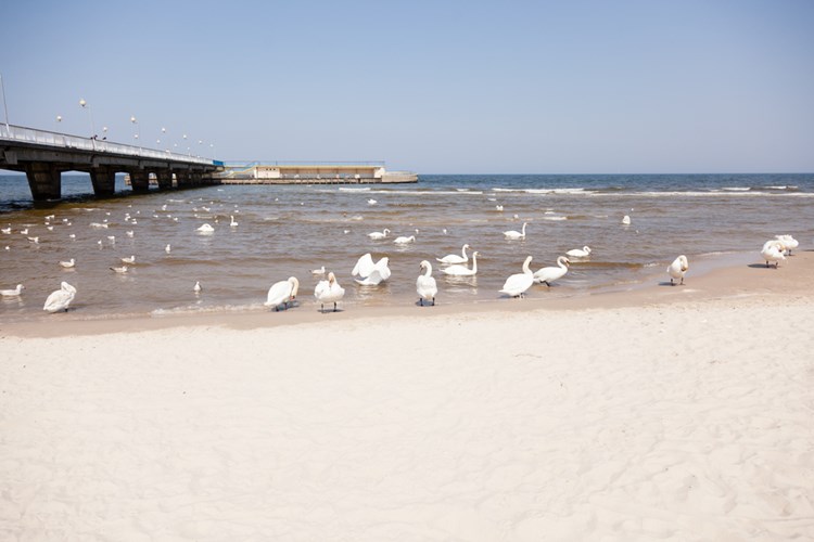 Kolberg_Depositphotos_261842088_S