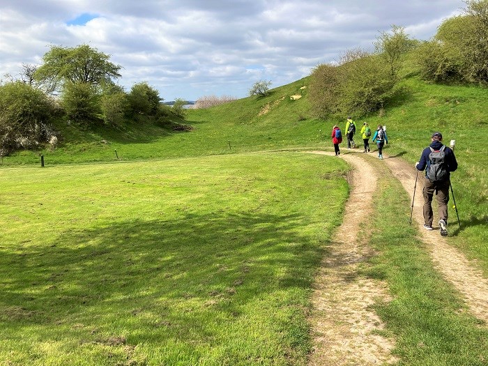 Grüne Landschaft der Halbinsel