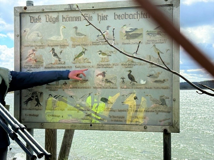 Informationsschild Vogelbeobachtung