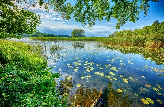 Sommertag an der Masurischen Seenplatte, Polen