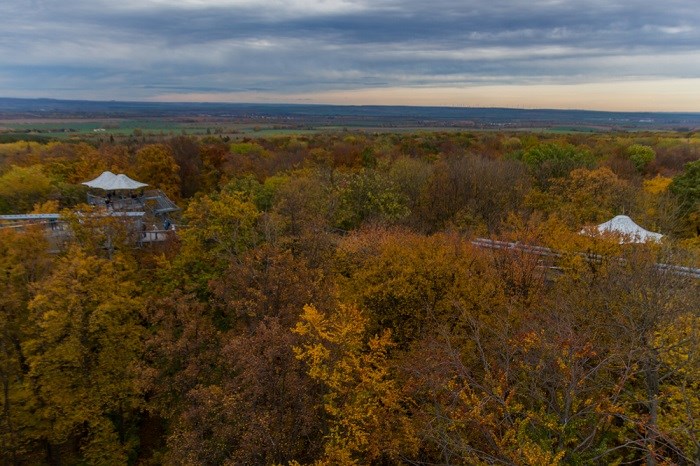 Baumwipfelpfad im Nationalpark Hainich
