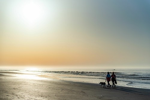 Endloser Strand mit Hundespaziergang