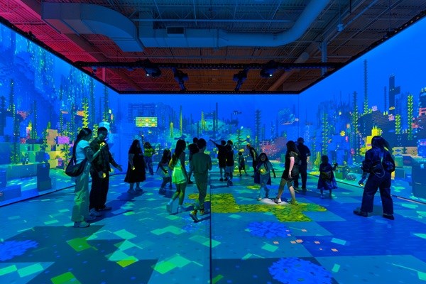 Minecraft Experience: Villager Rescue