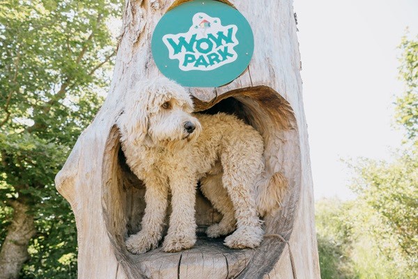 WOW PARK mit Hund