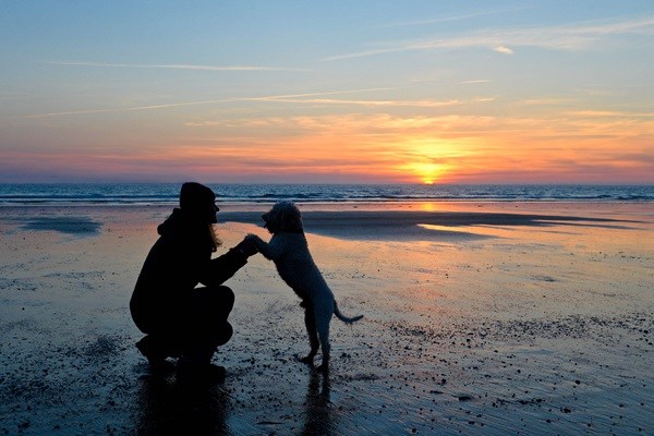 Frau mit Hund am Strand in Dänemark bei Sonnenuntergang