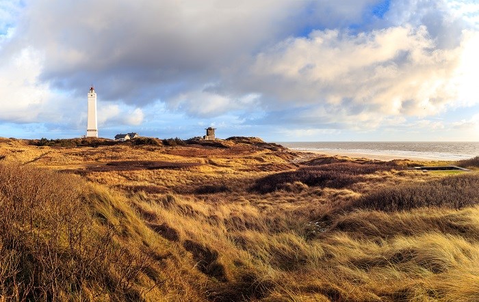 Dünenlandschaft von Blavand mit Blick auf den Blåvandshuk Fyr