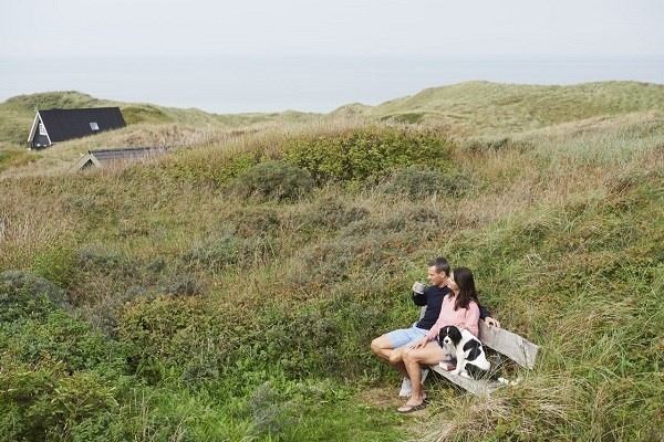 Ein Paar mit Hund sitzt draußen auf einer Bank in der Nähe des Strandes