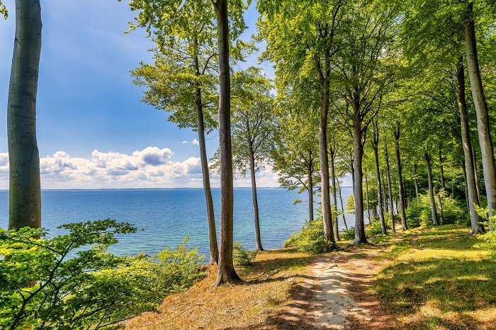 Gendarmenpfad an der Flensburger Förde