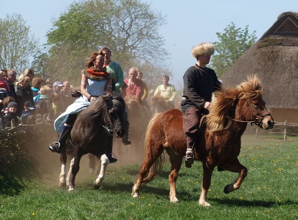 Vikings Event at Ribe VikingeCenter