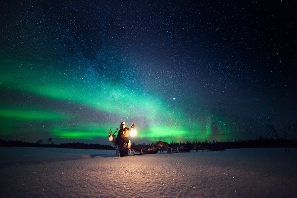 Nordlichter über verschneiter Landschaft und Rentieren in Muonio, Lappland