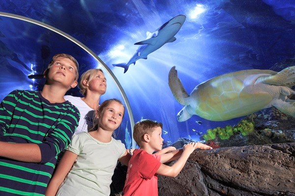 SEA LIFE Timmendorfer Strand