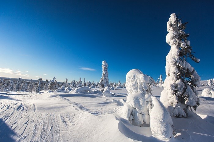 Atemberaubende Winterlandschaft in Sjusjøen