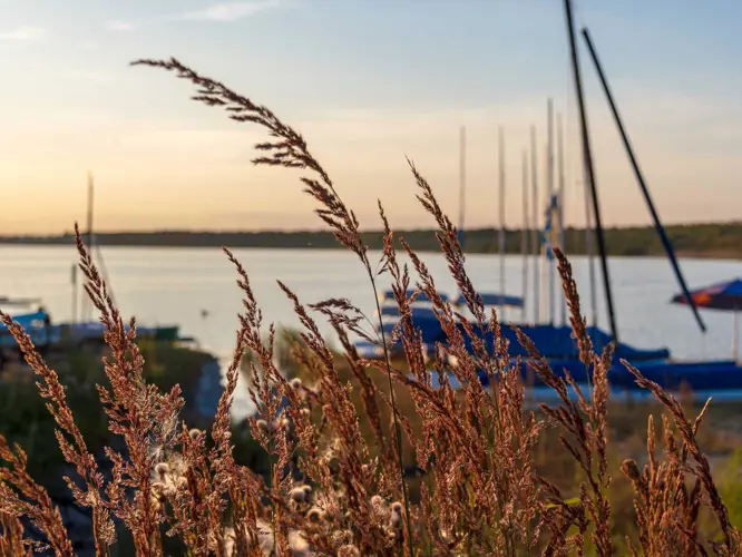 Leipziger Neuseenland_530-105807
