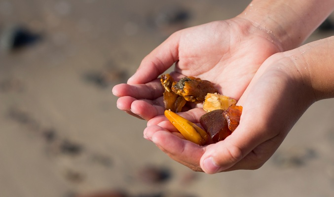 Zwei Hände halten mehrere bernsteinfarbene Steine, die am Strand gesammelt wurden