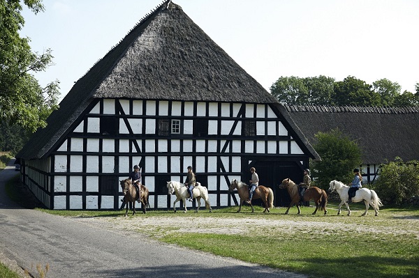 Reiterhof in Dänemark