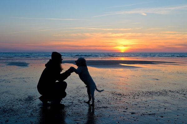 Frau mit Hund am Strand in Dänemark bei Sonnenuntergang