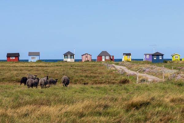Bunte Häuser auf Ärö