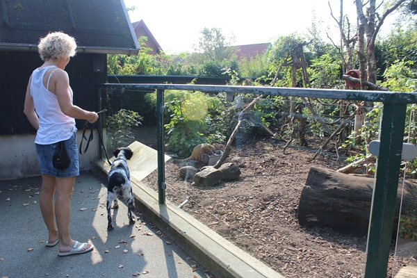 Frauchen mit Hund im Aalborg Zoo