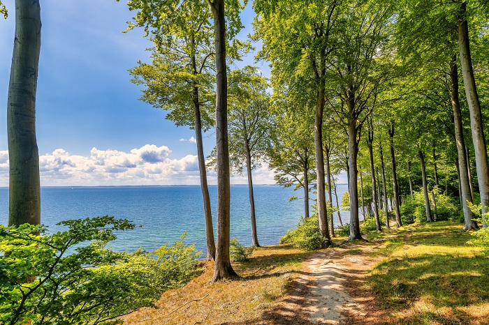 Gendarmenpfad an der Flensburger Förde
