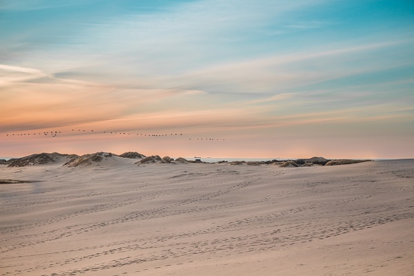 Råbjerg Mile - Wanderdüne von Skagen