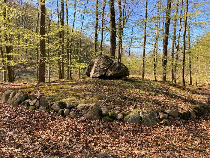 Findling im Wald
