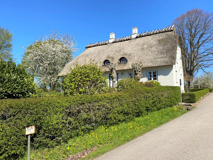 Reetdach-Haus