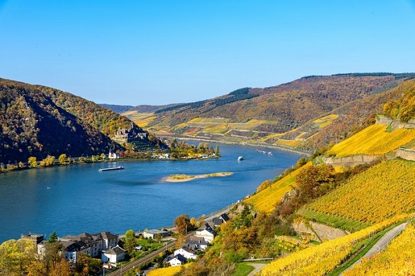 Bunte Weinberge in Rüdesheim