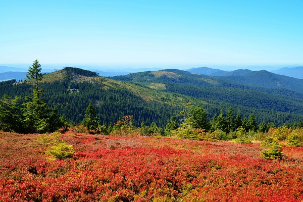 Herbstlandschaft im Bayerischen Wald - Blick vom großen Arber