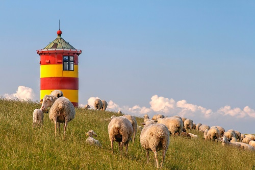 Leuchtturm an der Nordsee mit Osterlämmern auf dem Deich