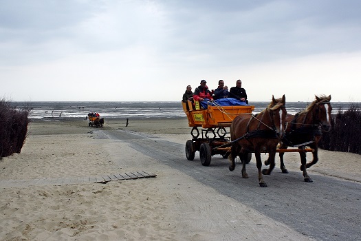 Pferdekutsche an der Nordsee