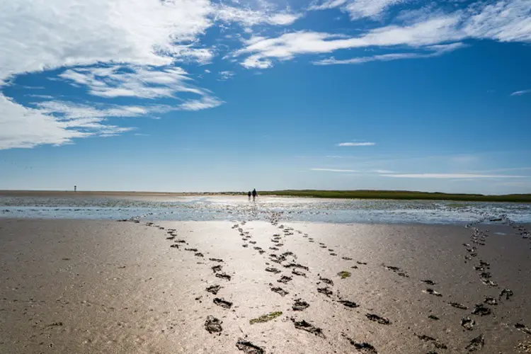 Wattenmeer