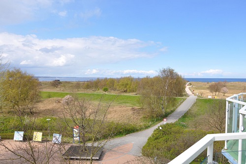 Weg zwischen Wiesen zum Ostseestrand 
