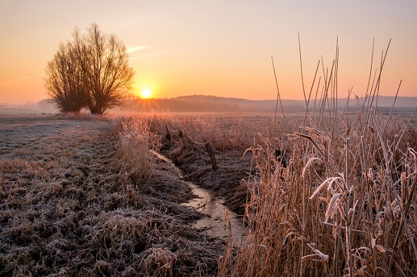 Winterlandschaft Norddeutschland